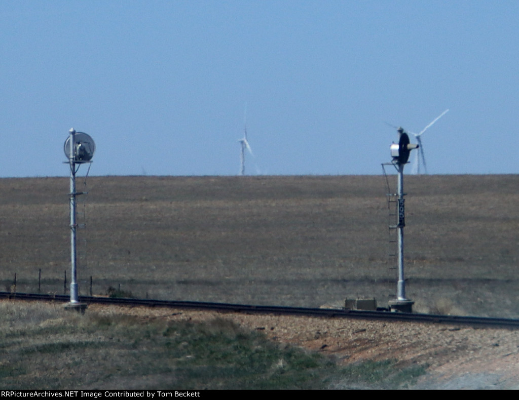 Faces of the plains